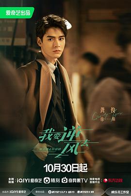 沧州seo网络推广平台优化